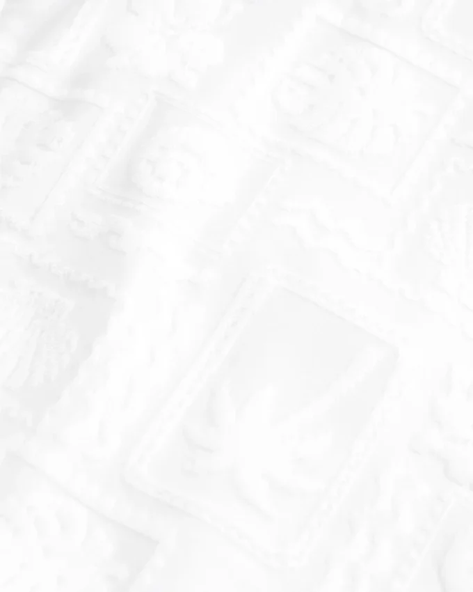 Braguita de bikini atrevida con doble tira jacquard