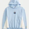 Sudadera con capucha con gráfico de la Asociación Argentina de Fútbol Sudadera con capucha con gráfico de la Asociación Argentina de Fútbol