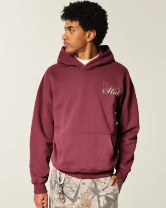 Sudadera con capucha y estampado de los Seminoles de la Universidad Estatal de Florida Sudadera con capucha y estampado de los Seminoles de la Universidad Estatal de Florida