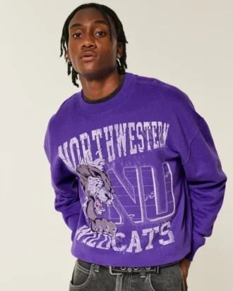 Sudadera con capucha y estampado de los Wildcats de la Universidad Northwestern Sudadera con capucha y estampado de los Wildcats de la Universidad Northwestern