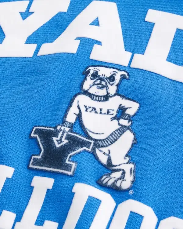 Sudadera con capucha y estampado de los Yale Bulldogs Sudadera con capucha y estampado de los Yale Bulldogs