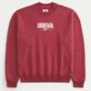 Sudadera con gráfico del Arsenal FC Sudadera con gráfico del Arsenal FC